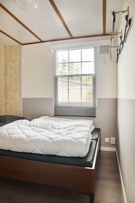 4 Persons Chalet Valkenbosch Situated In The Forested Area Oisterwijk Zewnętrze zdjęcie